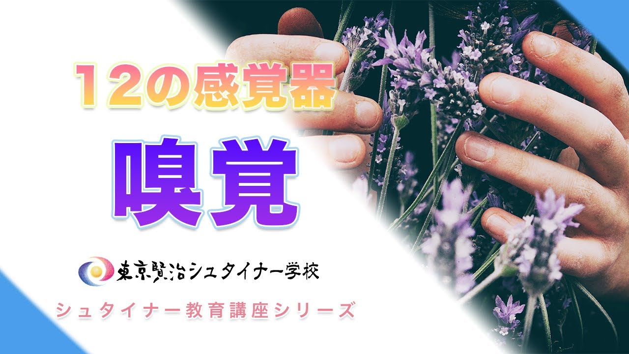 子どもの大きな能力につながる嗅覚について【シュタイナー教育講座】（18）