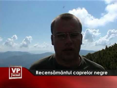 Recensământul caprelor negre
