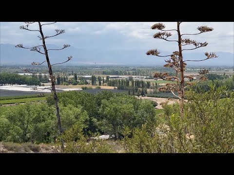 LUJÁN DE CUYO, Agrelo, Mendoza, Argentina 