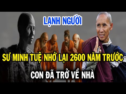 Lạnh người, Sư Minh Tuệ nhớ lại ký ức 2600 năm trước, Con đã trở về nhà
