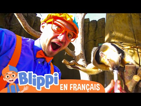 Blippi visite un Zoo & Aquarium | Blippi en français | Vidéos éducatives pour enfants