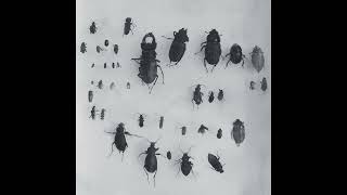 Lewis Fautzi - No Saint, I Know [MORD089]