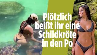 SANSIBAR: Schnapp-Schuss von hinten – Schildkröte überrascht Influencerin