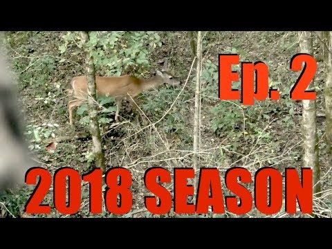 download lagu mp3 mp4 Persimmon Season 2018, download lagu Persimmon Season 2018 gratis, unduh video klip Persimmon Season 2018