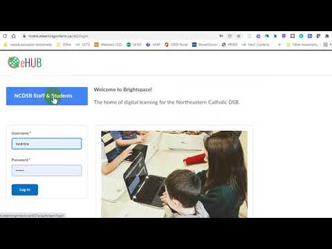 New Sso Brightspace Login