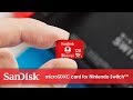 SanDisk microSDXC-Karte Nintendo Switch U3 256 GB