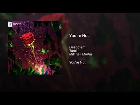 Tomline - You're Not (ft.Mitchell Martin)