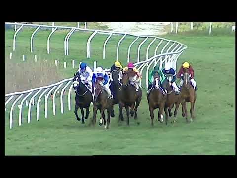 Napoli Galoppo 15/02/2022 - 4ª corsa