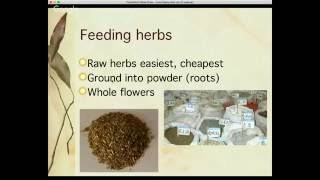Herbs and Horses: Getting Started