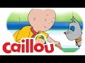 Caillou Magnet Madness S04E10 Cartoon For Kids