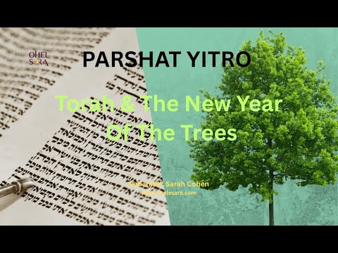 Parshat Yitro: Torah & The New Year Of The Trees - Rabanit K. Sarah Cohen