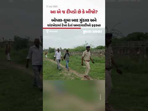 આ એ જ દીપડો છે કે બીજો? બોપલ-ઘુમા બાદ ઝુંડાલ અને ચાંદખેડામાં દેખા દેતાં અમદાવાદીઓ ફફડ્યા આ એ જ દીપડો છે કે બીજો? બોપલ-ઘુમા બાદ ઝુંડાલ અને ચાંદખેડામાં દેખા દેતાં અમદાવાદીઓ ફફડ્યા