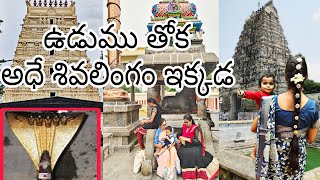 Temple video