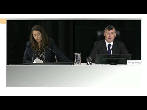 Michael Chong At Foreign Interference Inquiry 'We'Re Buried Under A Mountain Of Process'