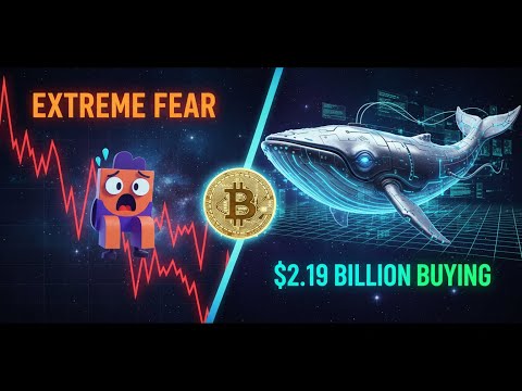 Bitcoin EXTREME FEAR: Why Institutions Are Buying BILLIONS Now