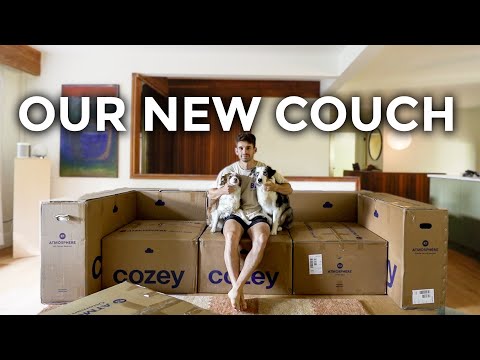 The Best Pet-Friendly Dog Couches (Cozey Review)