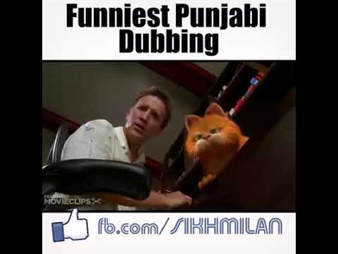 Punjabi cat and rat