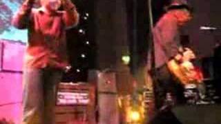 The Bees - Chicken Payback