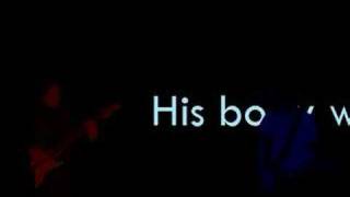 A Small Green Lizard Tribute