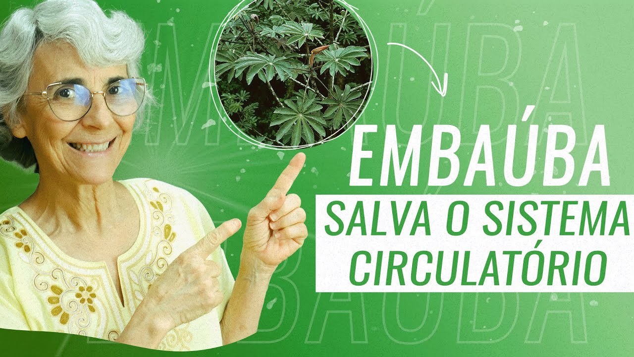 Embaúba: diurético, anti-inflamatório, protege o coração e MUITO MAIS