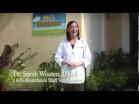 Life's Abundance Dog Food