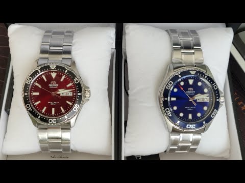 Orient Kamasu vs Ray 2