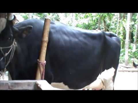 তথ্য চিত্র