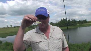 preview picture of video 'Farm Pond Fishing in Oklahoma Ep. 3'