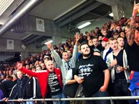 HERLEV Support