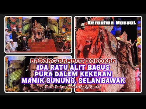 UNIK!! BARONG MEKAMPUH (RAMBUT) KOKOKAN, SUGRA IDA RATU ALIT BAGUS PURA DALEM KEKERAN MANIK GUNUNG