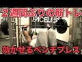 腰の激痛から2週間・・超久しぶりの筋トレが楽しすぎる!!!