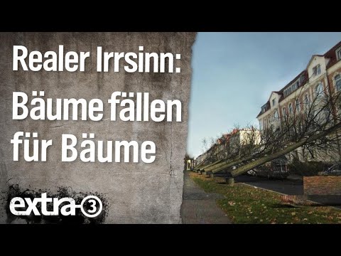 Realer Irrsinn: Bäume fällen für neue Bäume | extra 3 | NDR