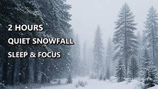 Quiet Snowfall in a Pine Forest ❄️🌲 Nature Sounds | 2 Hours for Sleep & Focus