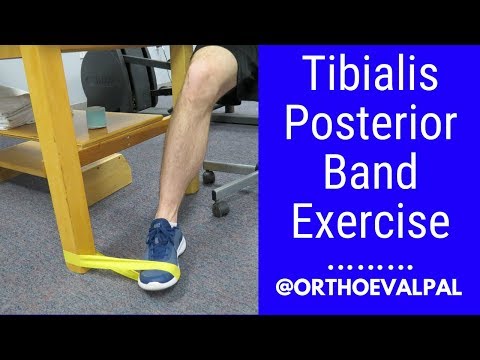 Metatarsalgia and Morton s Neuroma Evaluation and Treatment