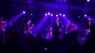 The Pietasters &quot;Tell You Why&quot; (Live)