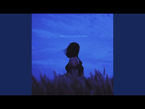 wish i could see you again