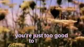 Hermes House Band Can&#39;t Take My Eyes Off Of You Karaoke