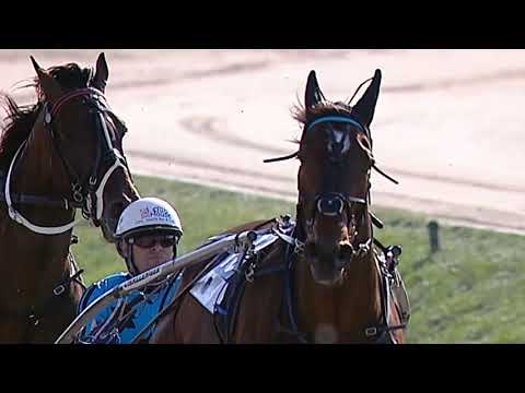 Changeover wins 2008 New Zealand Cup