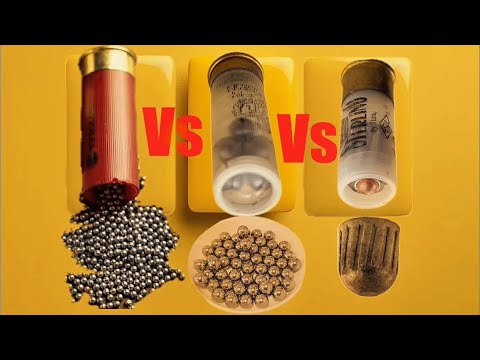 Impact of Bird Shot vs Buckshot vs Slug #review #hunting