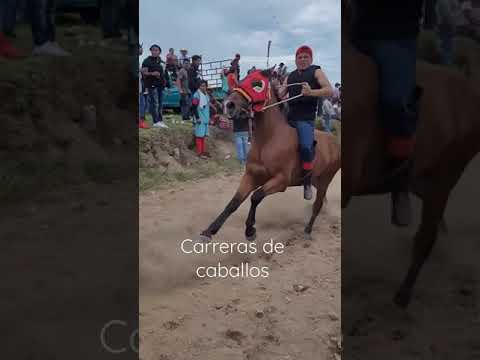 Carreras de caballos🐎🏇