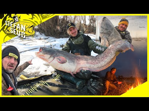 Winter Wels - DER FILM | Ein Angelabenteuer an den größten SEEN und FLÜSSEN Europas