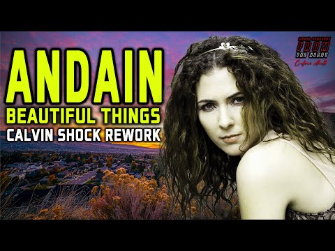 ANDAIN   BEAUTIFUL THINGS CALVIN SHOCK REWORK