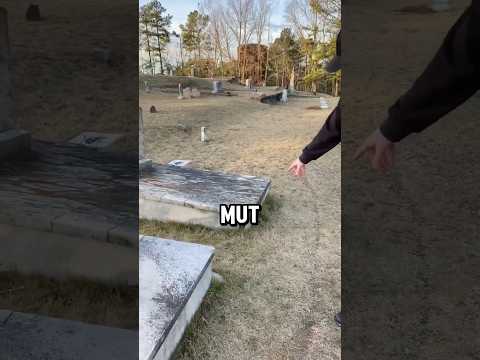 Verfluchtes Grab 😱