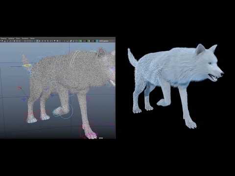 CGI Wolf Making of