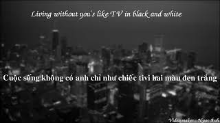 TV in black &amp; white cover Lana Del Rey [Lyric + Vietsub]