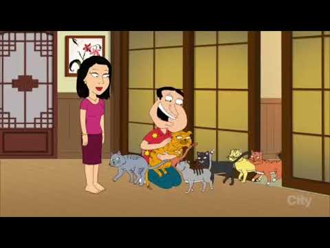 Jordan's sound effects compilation cats two meowing