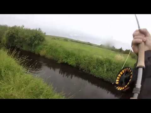 Havørred på 87 cm. og 7,4 kg. fra Trend Å