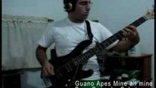 Guano Apes - Mine all Mine Bass Cover - Cobyte