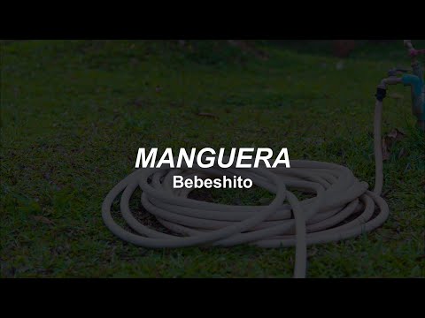 bebeshito - manguera // lyrics
