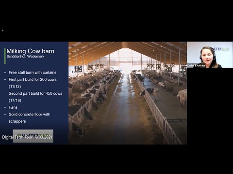 Digital Holstein farm tour – Herd Genotyping & Beef on Dairy